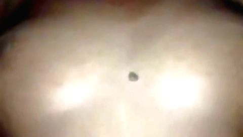 Indian hairy woman with a shaved pussy does cunnilingus