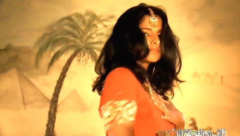 Indian brunette masturbates and has sex with herself