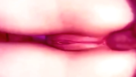 Amateur stepsister anal blowjob in homemade sex video